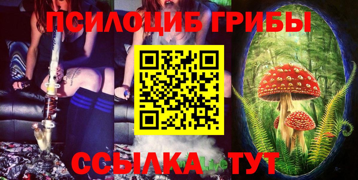 Галлюциногенные грибы MAGIC MUSHROOMS Кашира